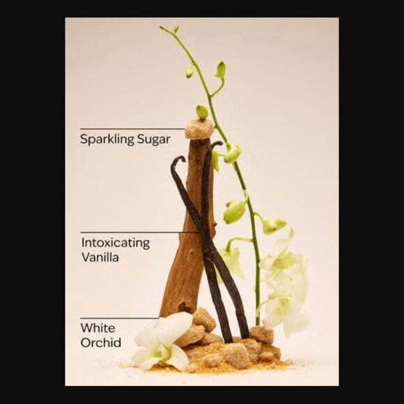 NEW Bath & Body Works Warm Vanilla Sugar Body Lotion 8 oz Full Size Nourishing - Picture 2 of 5